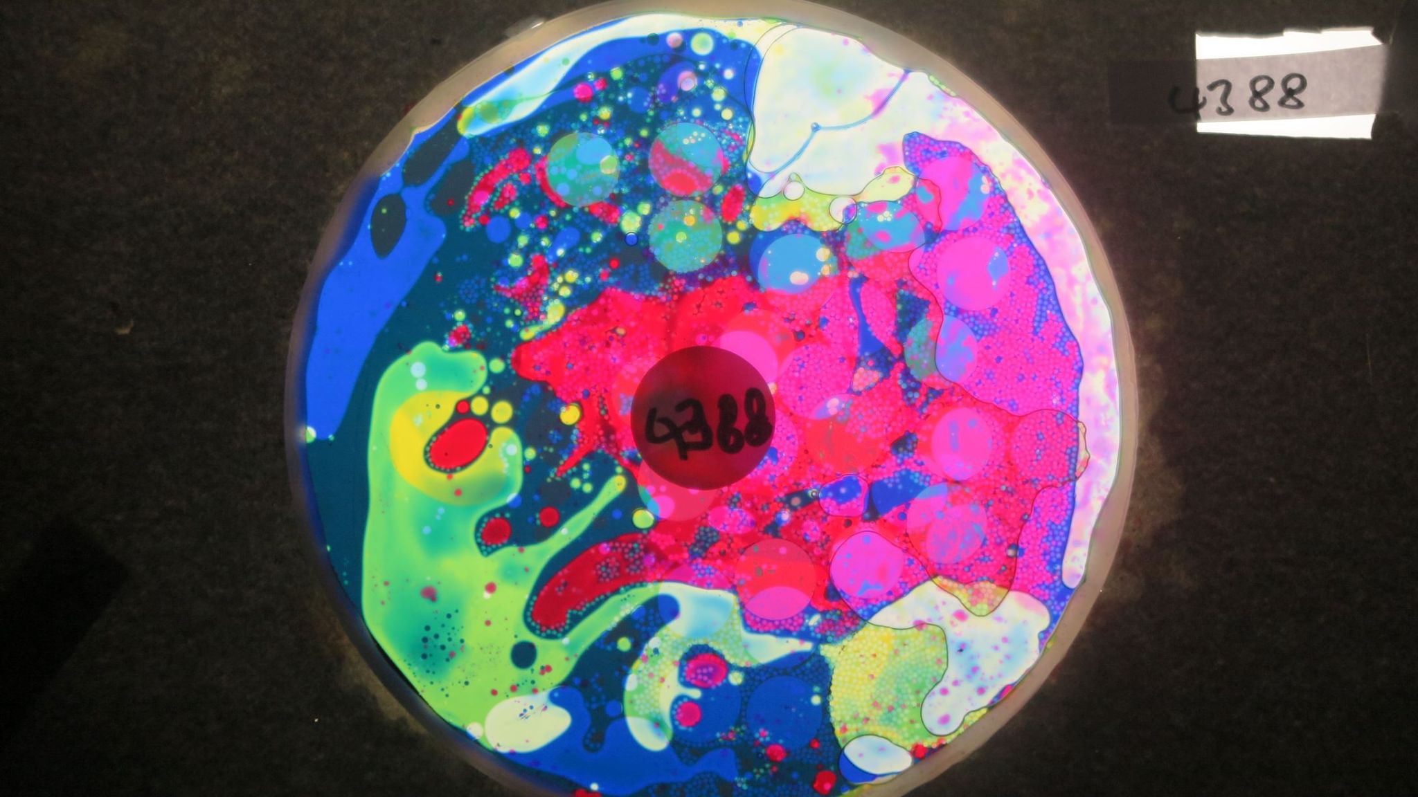 BV4388 bubble vision oil wheel